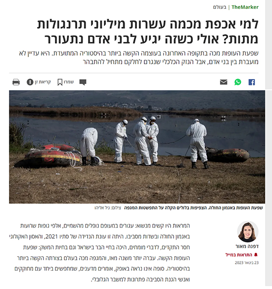דה מארקר למי אכפת דה מארקר למי אכפת