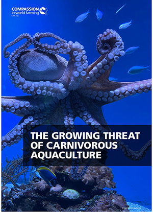 דוח האיום הגובר של חקלאות טורפת