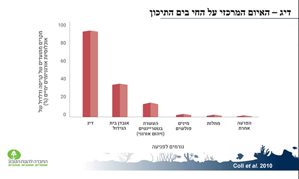 דיג הוא האיום המרכזי על דגים בים התיכון דיג הוא האיום המרכזי על דגים בים התיכון