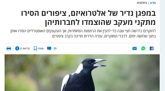הארץ עקעקים צילום מסך כתבה מהארץ