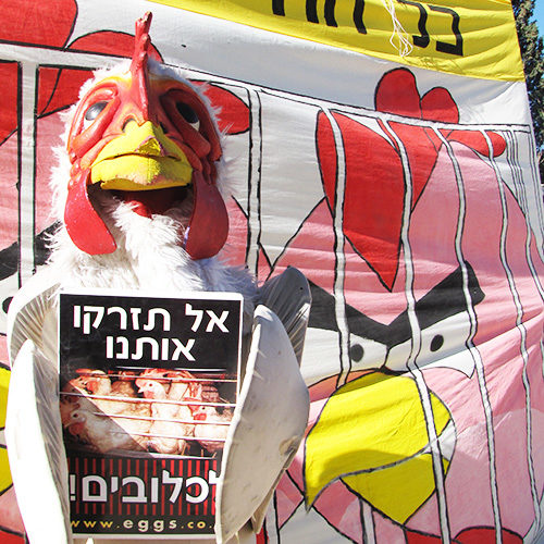 הפגנה נגד כלובי סוללה