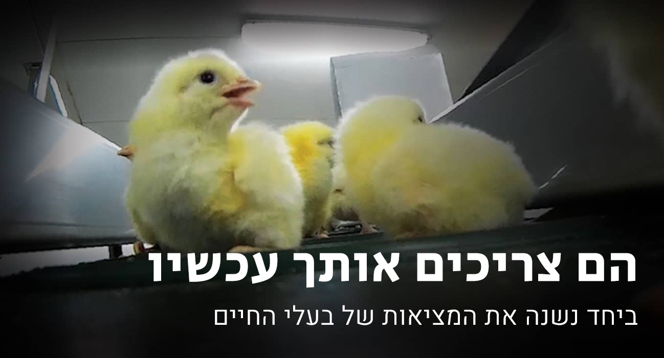 הם צריכים אותך עכשיו - ביחד נשנה את המציאות של בעלי החיים