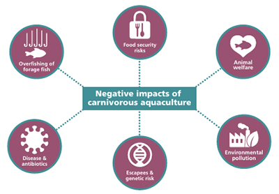 השלכות שליליות של חקלאות טורפת מתוך הדוח