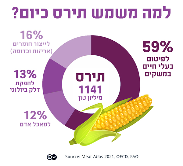 גרף עוגה: למה משמש 1141 מיליון טון תירס בשנה