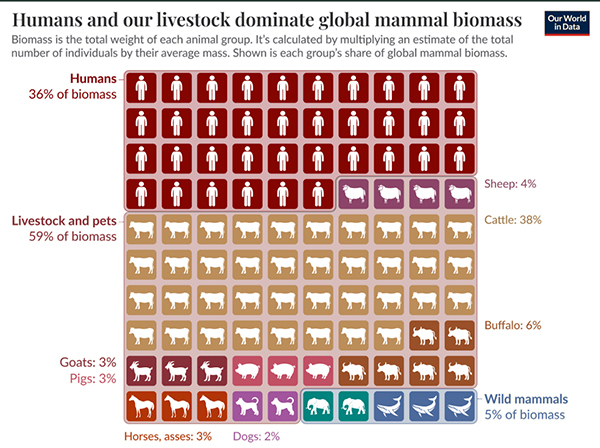 התפלגות יונקים כולל ימיים לפי ביומסה של מינים שונים