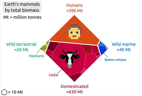 התפלגות יונקים לפי ביומסה של מינים