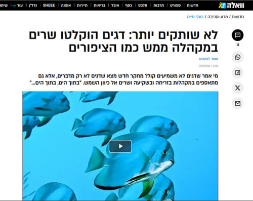 וואלה לא שותקים יותר דגים הוקלטו שרים במקהלה ממש כמו הציפורים וואלה לא שותקים יותר דגים הוקלטו שרים במקהלה ממש כמו הציפורים