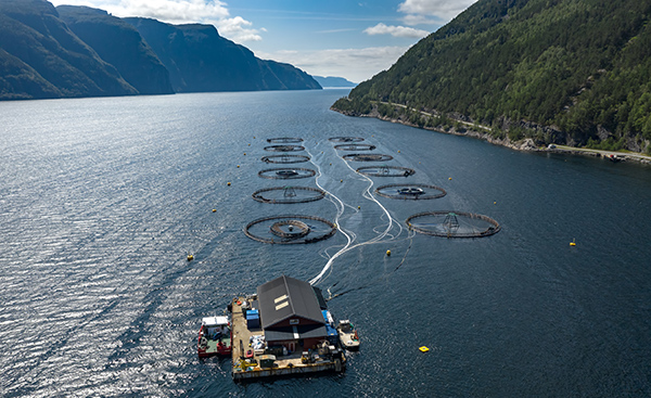 Farm salmon fishing in Norway חוות כלובי סלמון בנורבגיה