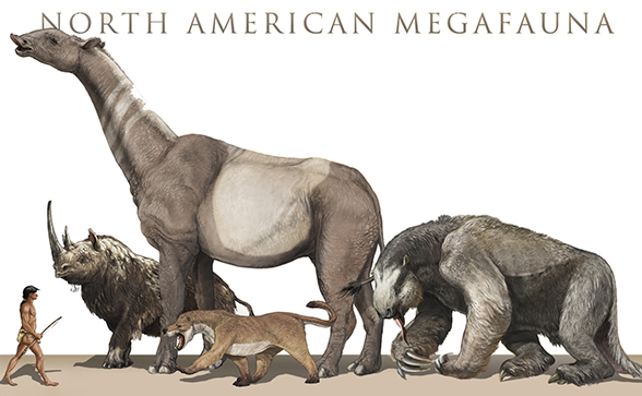 חיות מהמגה פאונה של צפון אמריקה