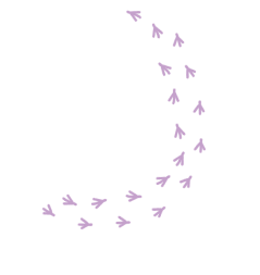 טביעות רגליים03 1
