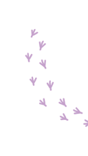 טביעות רגליים03 2