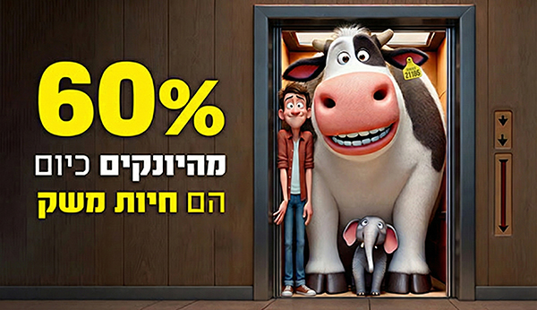 כדור הארץ כמעלית