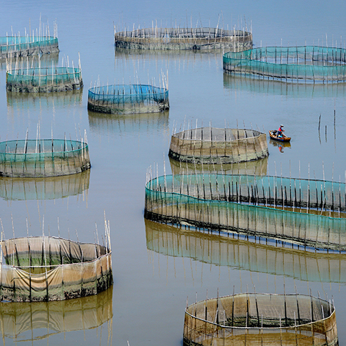 חקלאות דגים, חקלאות מים