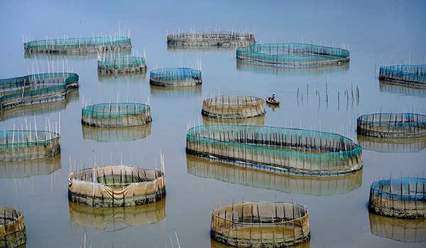 Shot of aquaculture facilities, farming in water Shot of aquaculture facilities, farming in water