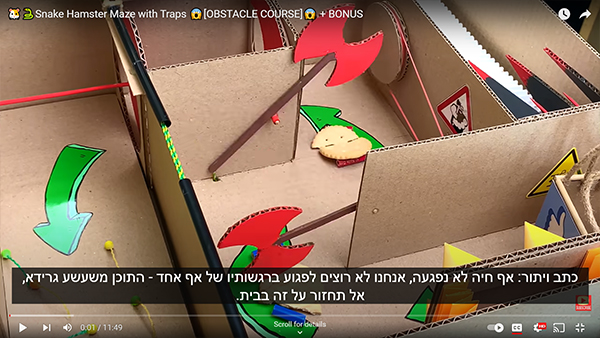 כתב ויתור אף חיה לא נפגעה כביכול1