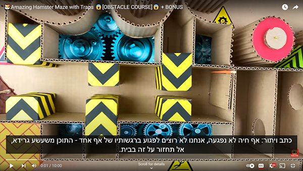 כתב ויתור אף חיה לא נפגעה כביכול2