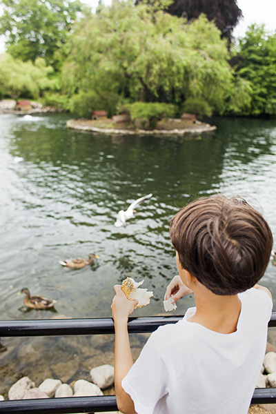 Rear view of boy feeding birds in pond at park