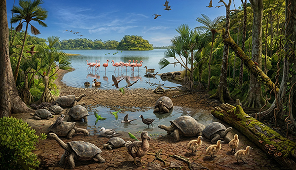 מאוריציוס לפני הגעת האדם