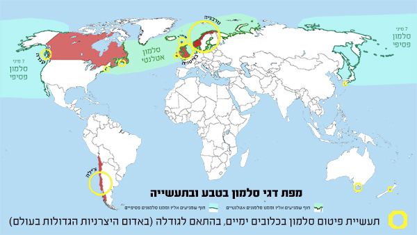 מפת דגי סלמון בטבע ובתעשייה מפת דגי סלמון בטבע ובתעשייה