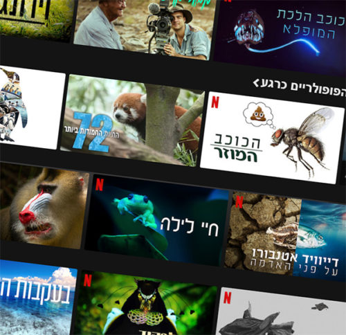 נטפליקס תפריט בעלי חיים