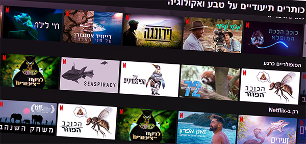 נטפליקס טבע ואקולוגיה נטפליקס טבע ואקולוגיה