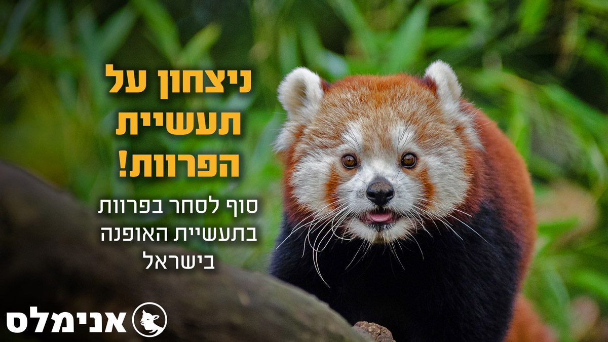 ניצחון על תעשיית הפרוות