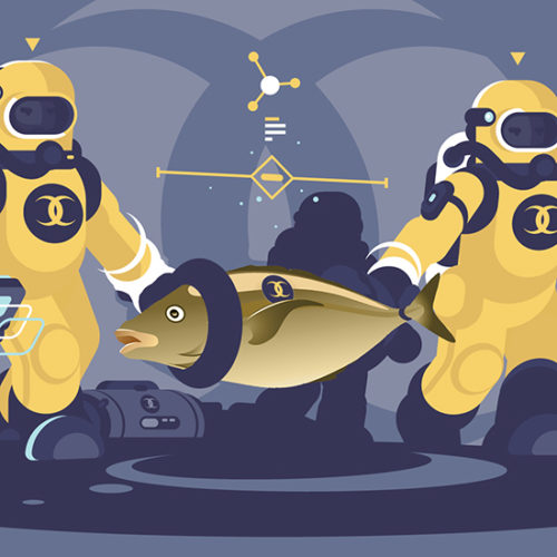 דג רעיל מאוד, אילוסטרציה