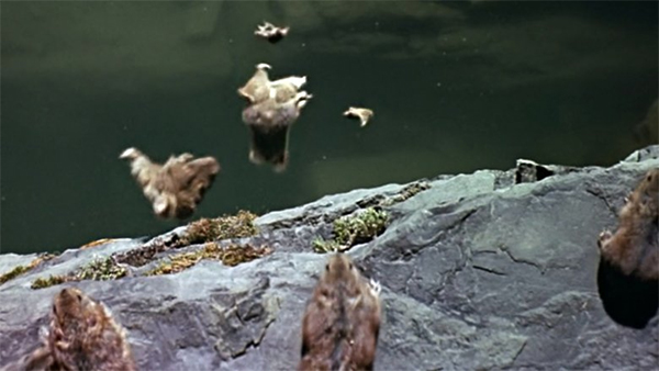 סצנת התאבדות הלמינגים כביכול