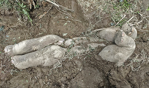 פילון כפי שנקבר על ידי בני משפחתו