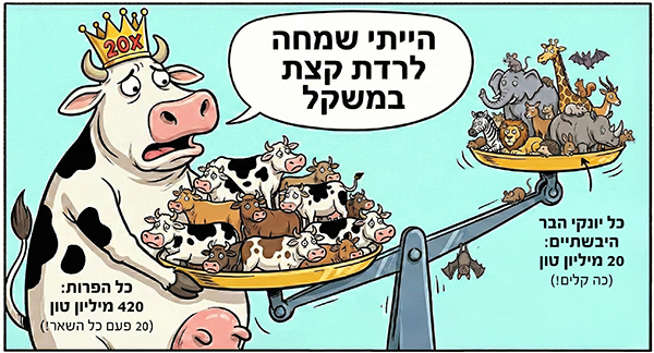 פרות שוקלות פי 20 מכל חיות הבר ביחד
