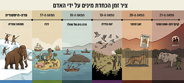 ציר זמן הכחדות על ידי בני אדם