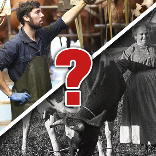 רפתן של היום ורפתנית של פעם