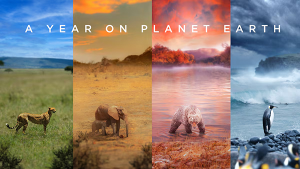 שנה על פלנט ארת