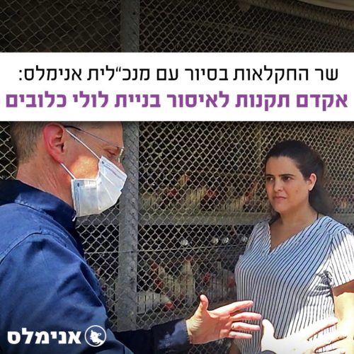 שר החקלאות בסיור עם מנכלית אנימלס יקדם תקנות לאיסור בניית לולי כלובים