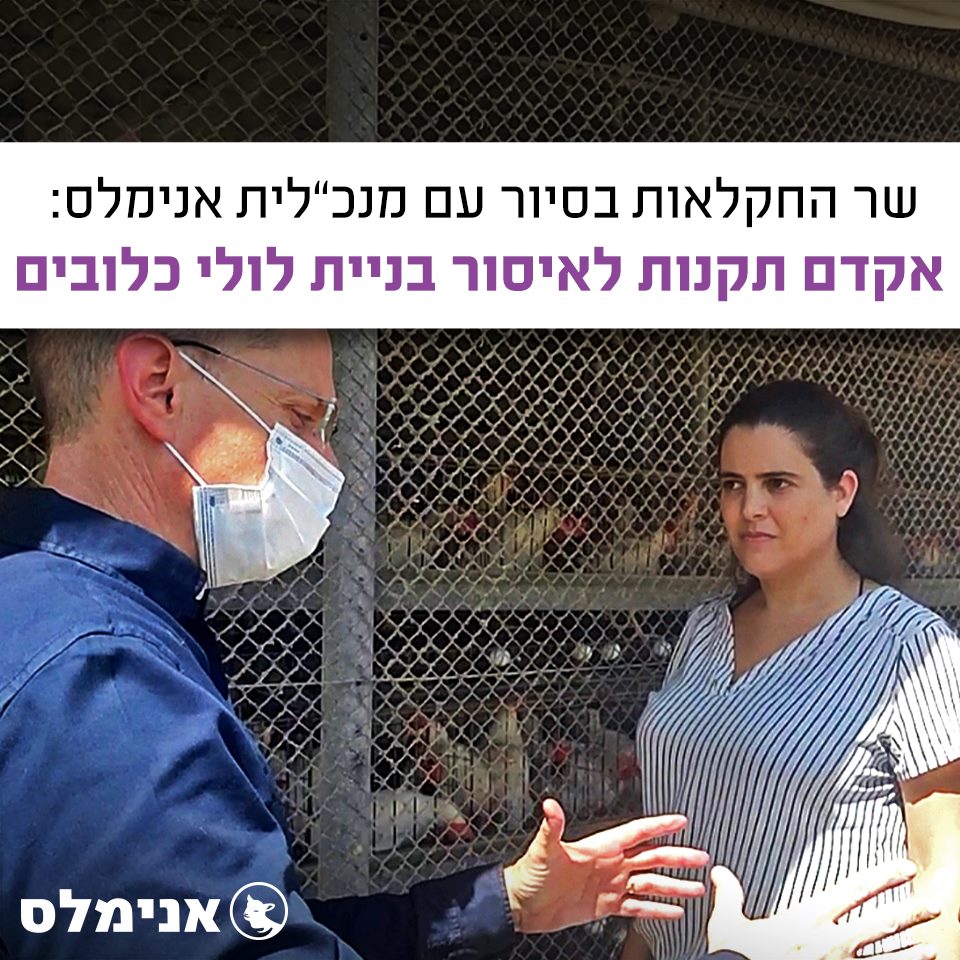 שר החקלאות בסיור עם מנכלית אנימלס יקדם תקנות לאיסור בניית לולי כלובים שר החקלאות בסיור עם מנכלית אנימלס יקדם תקנות לאיסור בניית לולי כלובים