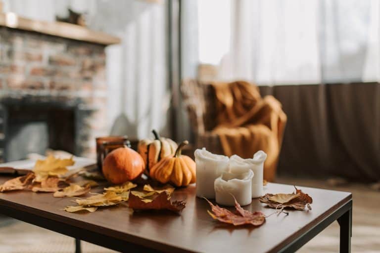 staycation in the fall