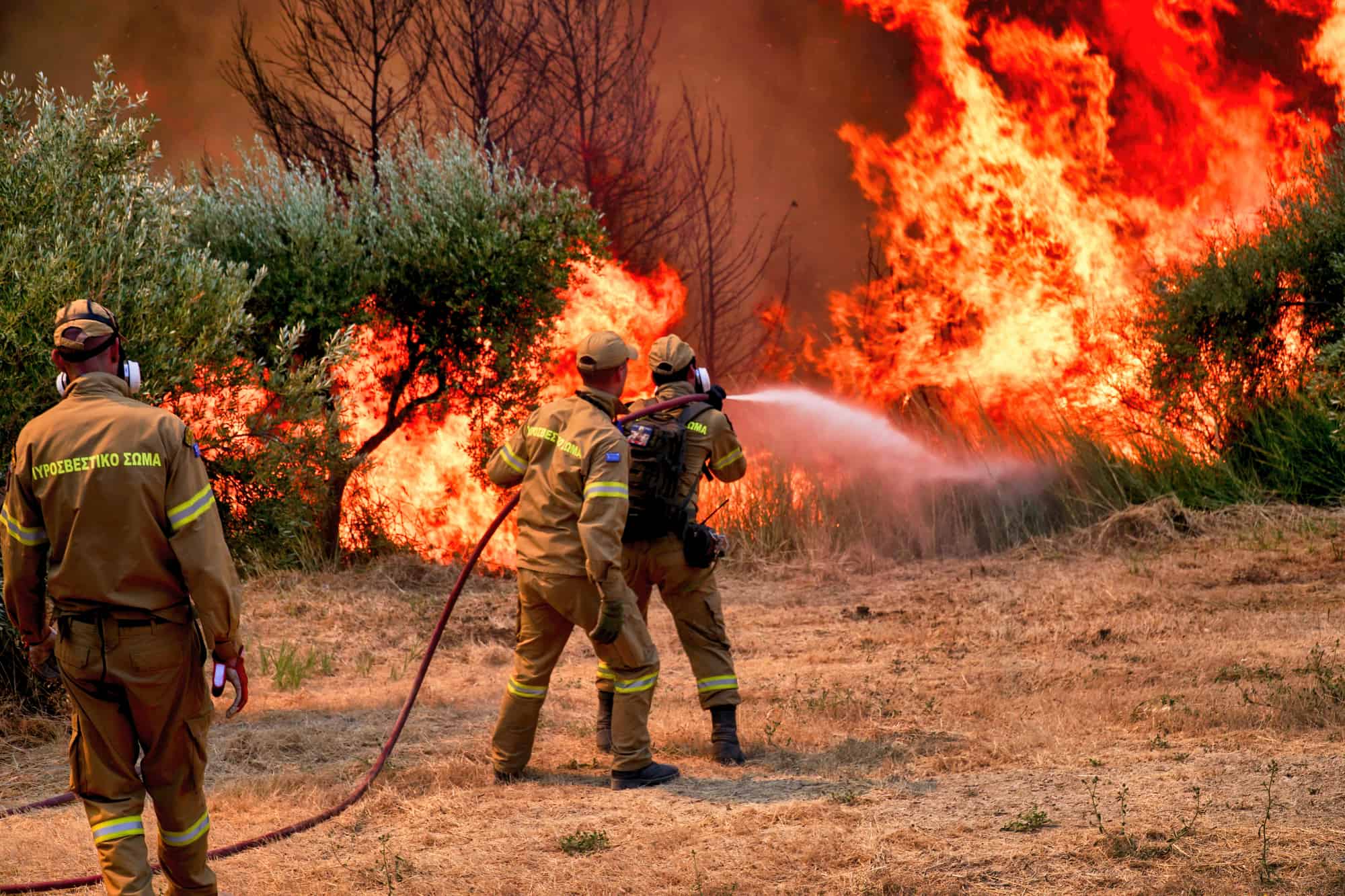 Peloponnese, Greece, 05 August 2021: firefighters battles to extinguish a wildfire in Xelidoni village in the area of Ancient Olympia