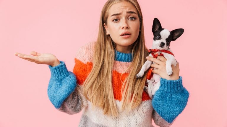 Cute lovely confused girl playing with her pet chihuahua isolated over pink background, shrugging shoulders