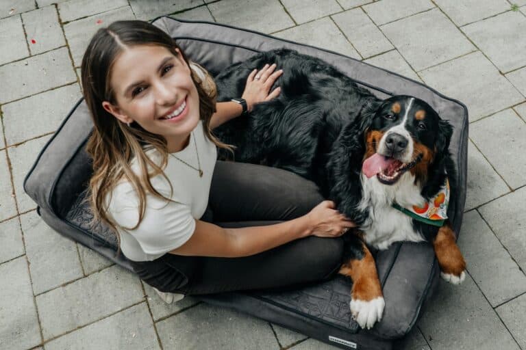Pet