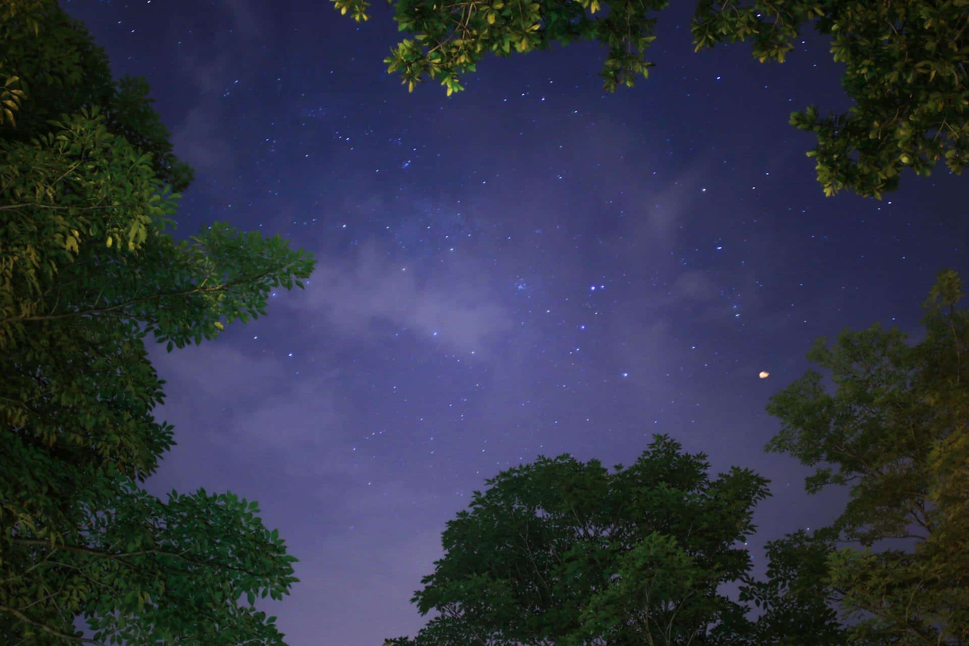 Stars