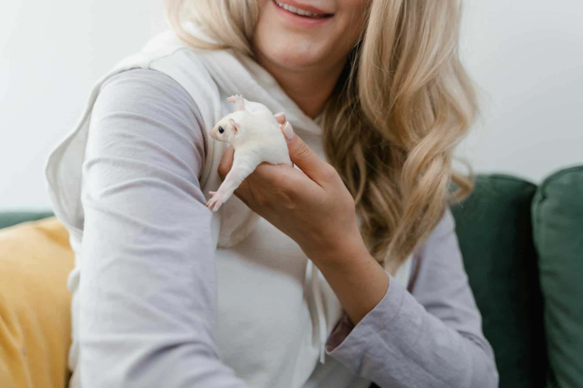 Woman Playing with a Pet Sugar Glider
