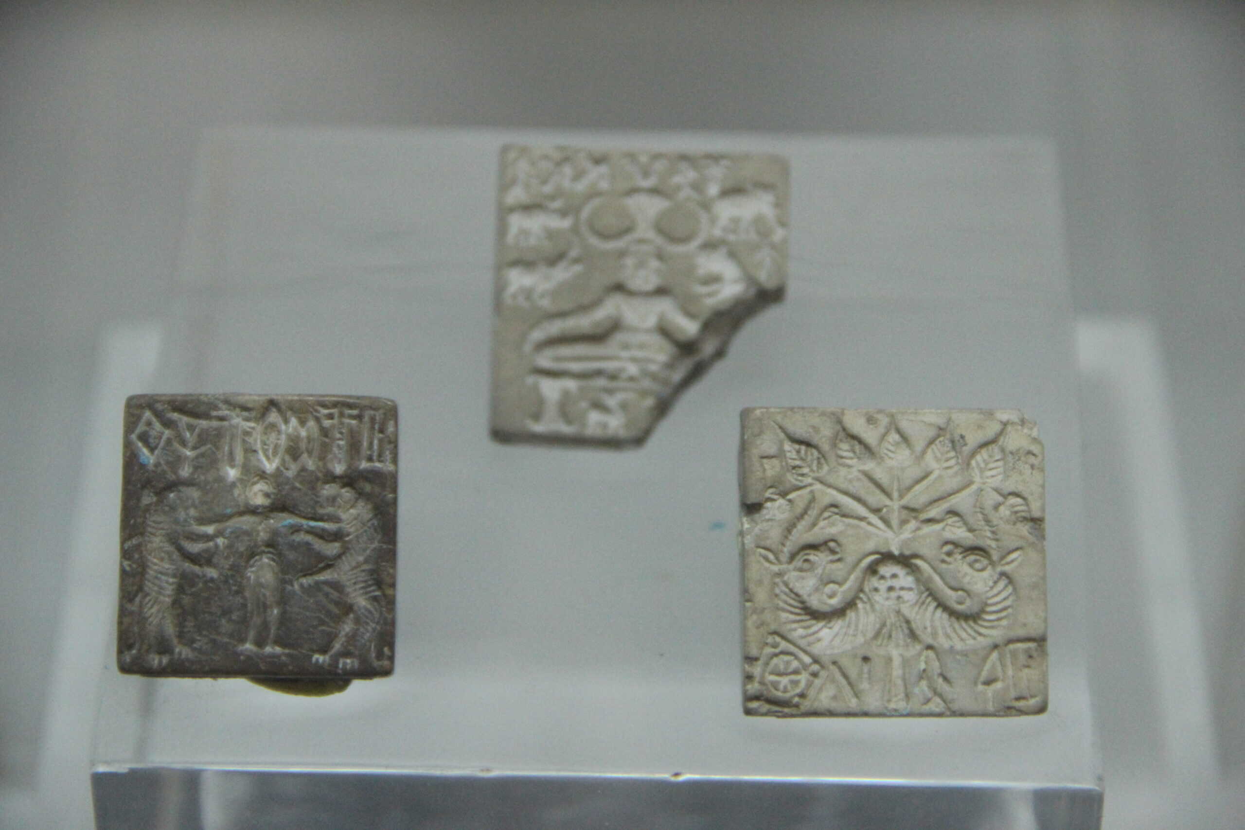 Harappan seals in a museum