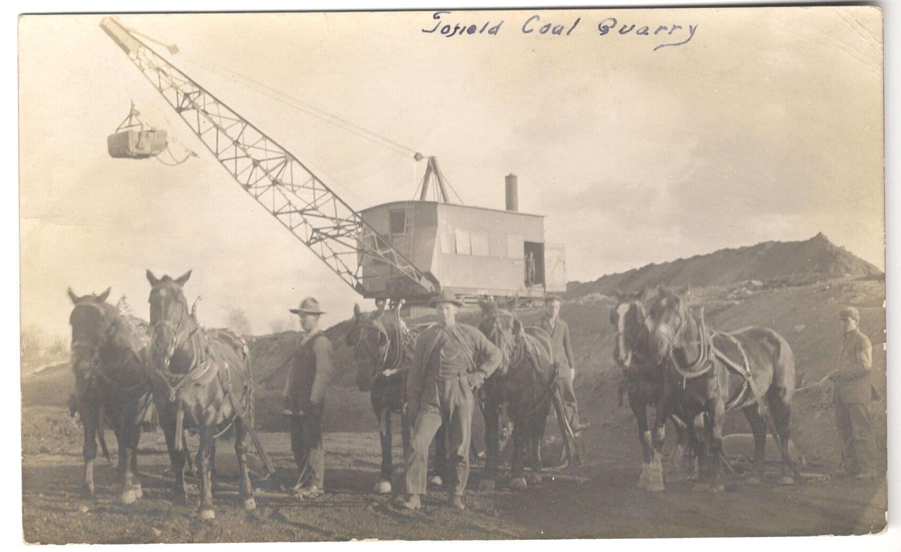 Horses in Coal Mine