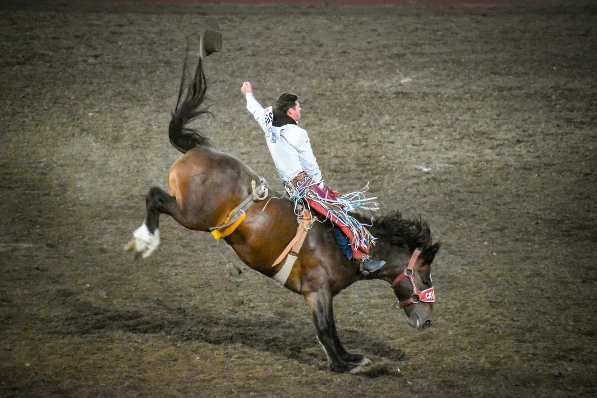 Dynamic Rodeo Ride at Ellensburg Show