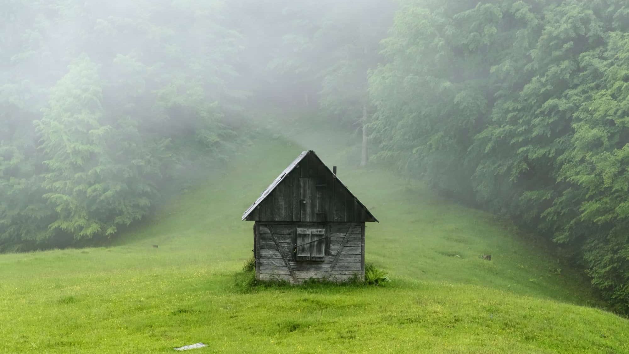 Alone cabin in the woods. High resolution panorama. Landscape photography