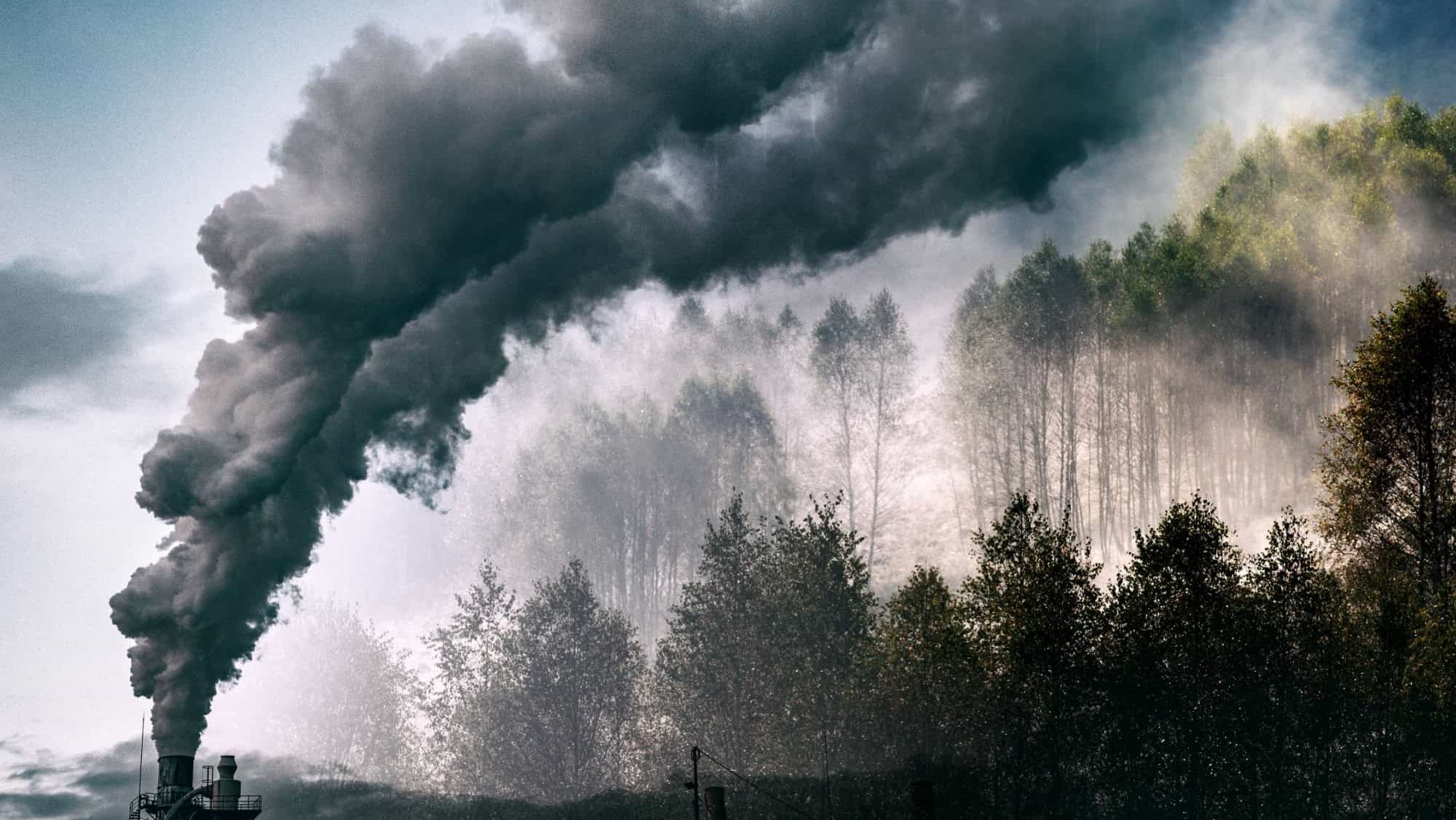 factory smoke covering green forest double exposure global warming climate change