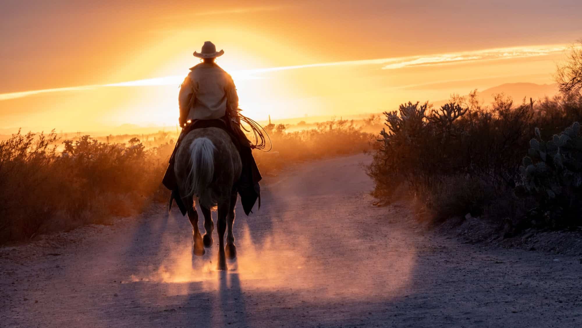 Silhouette of ranch hand, or cowboy, riding his horse in the sunset.