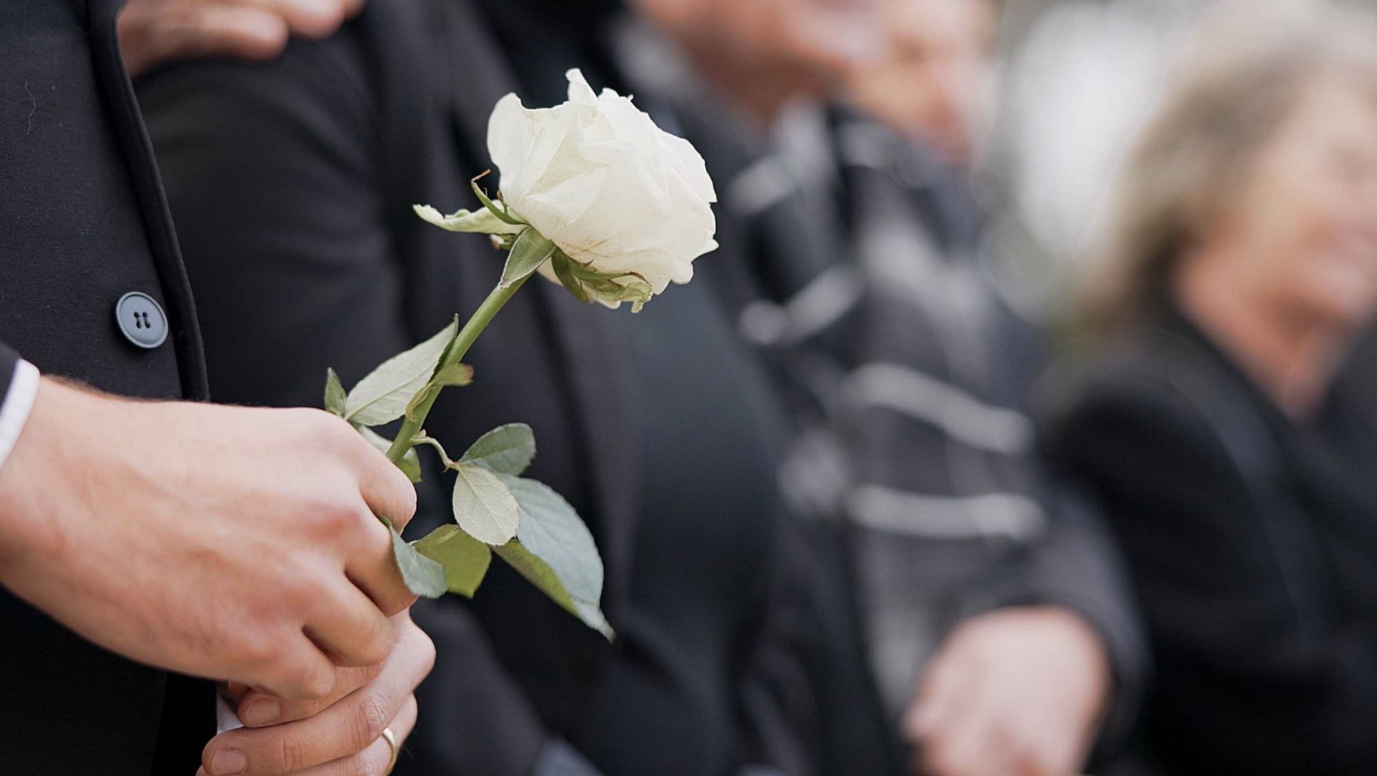 Hands, rose and a person at a funeral in a cemetery in grief while mourning loss at a memorial service. Death, flower and an adult in a suit at a graveyard in a crowd for an outdoor burial closeup