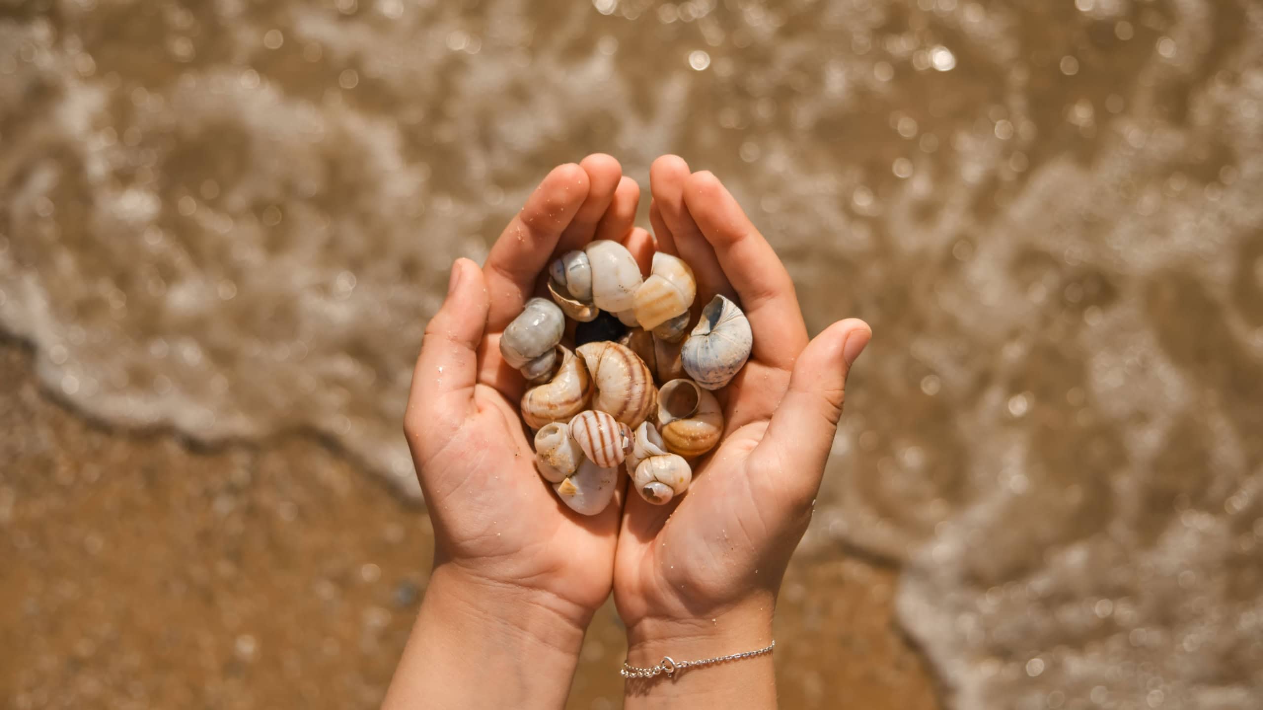 hands collecting shells on the sea beach. Close-up of children's hands with collected seashells over the sea. Selective focus