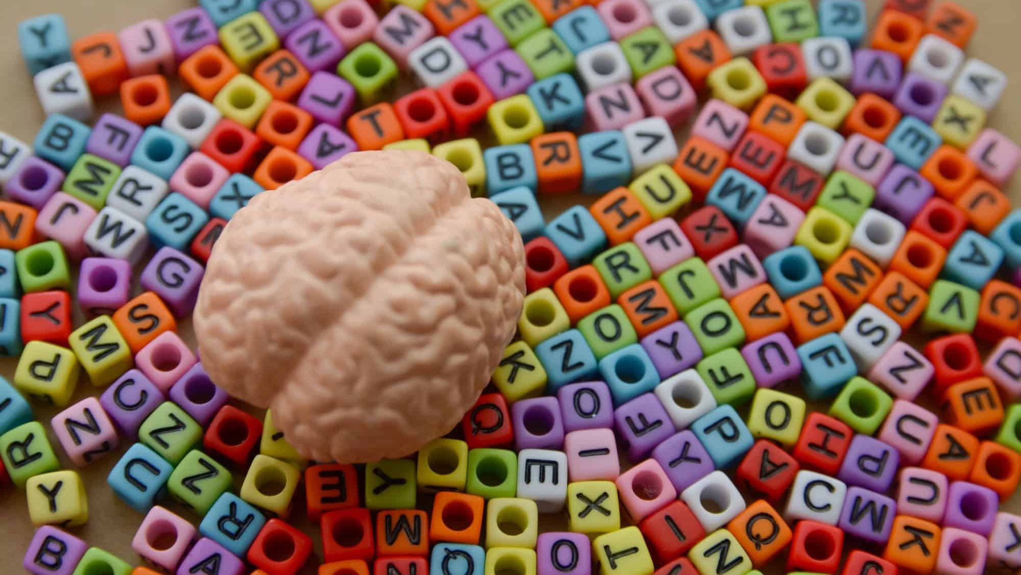 Human Brain Model on Colorful Alphabet Beads Representing Language Learning and Cognitive Development